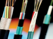 Whakaahua Me o te Kaimahi